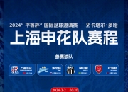 爱游戏体育在线-包含拿啥争冠？申花新援身价不及浙江队新援一半，总幻想花小钱办大事的词条