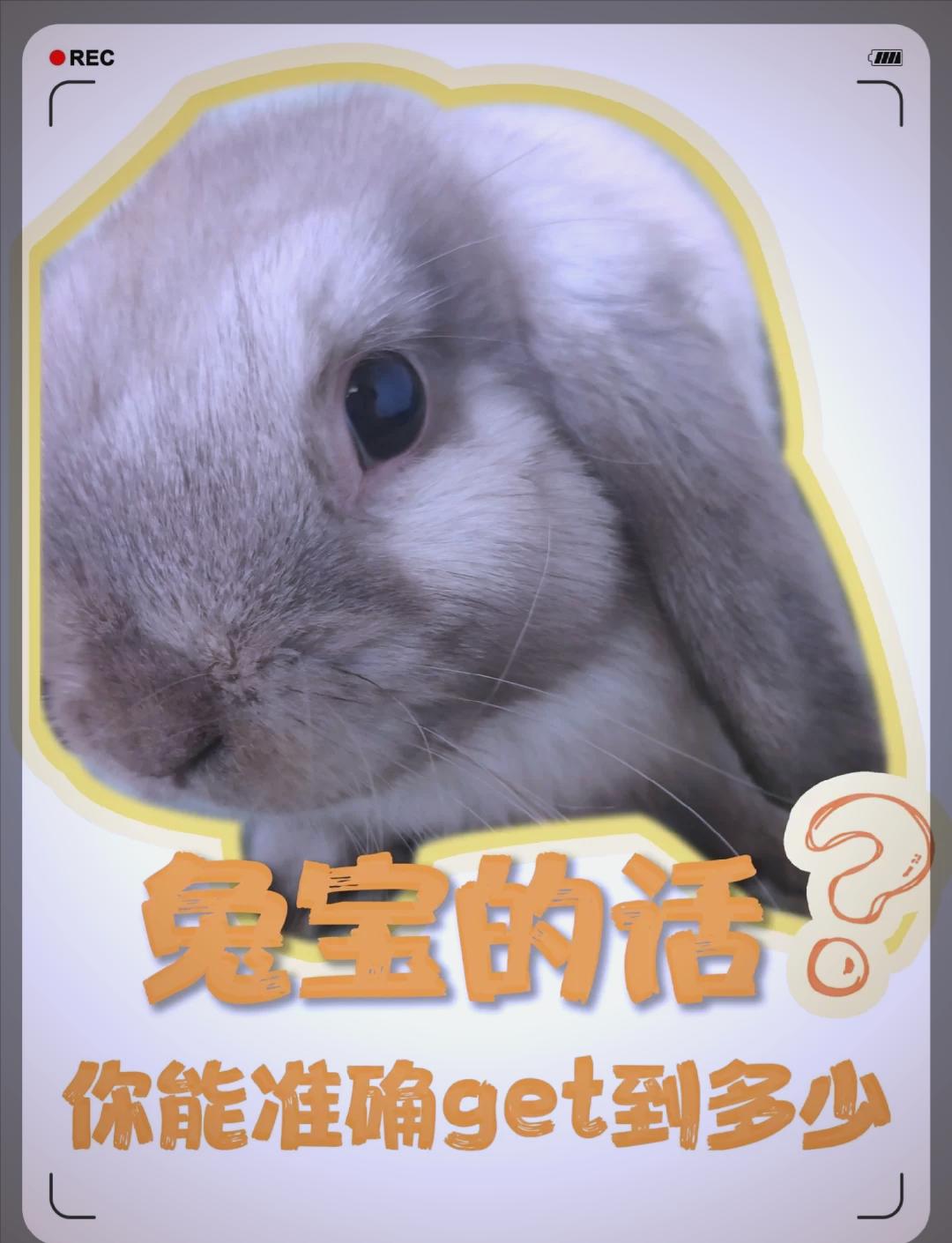 子宇被打脸？韩旭：不要被影响情绪和心态很多人会对她做小动作的简单介绍