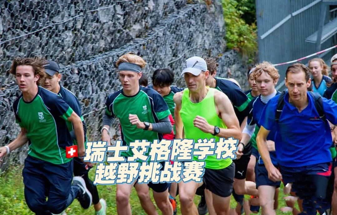 比利时遭遇挑战，瑞士逼平助攻小组出线的简单介绍